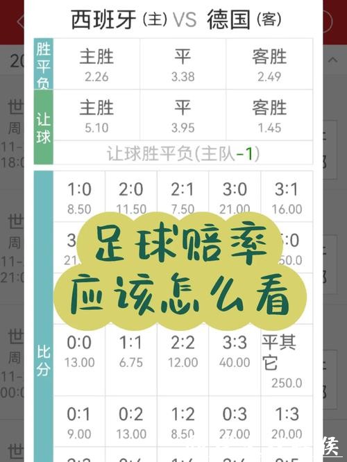 高赔率的世界杯竞猜平台评测